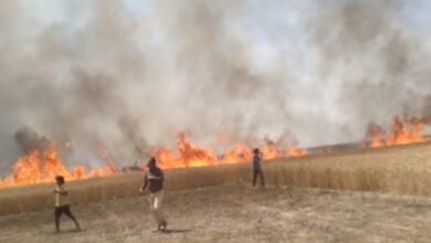 Photo of पकड़ियार में बिजली के शॉट सर्किट से आग लगने के कारण 20 बीघा गेंहू की फसल जल कर राख